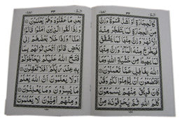 30 parts set of The Holy Quran in Velvet coated box (Persian/Urdu script)