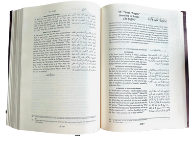 The Clear Quran with Arabic Text ( English translation)