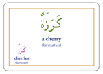 Gateway to Arabic Flashcards Set Three,9780956688224,