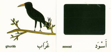 First Words from the Quran,9780955430251,