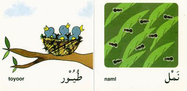 Animals: First Words from the Quran-2