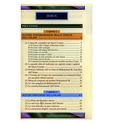 A Brief Illustrated Guide to understand (Una breve guida illustrata per comprendere)