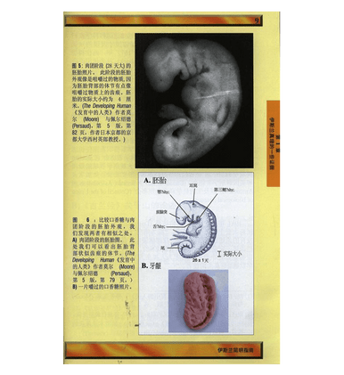 A Brief Illustrated Guide to understand Islam (浅谈图解指南了解伊斯兰教)-3