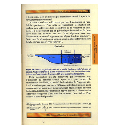 (French)A Brief Illustrated Guide to understand Islam (Guide Concis Et Illustre Sur La Comprehension De L’Islam)-3