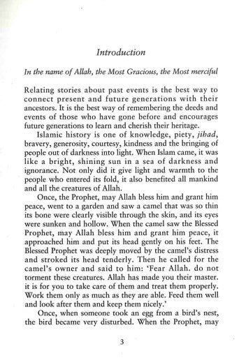 A Starlight View Of Islam's Past-4